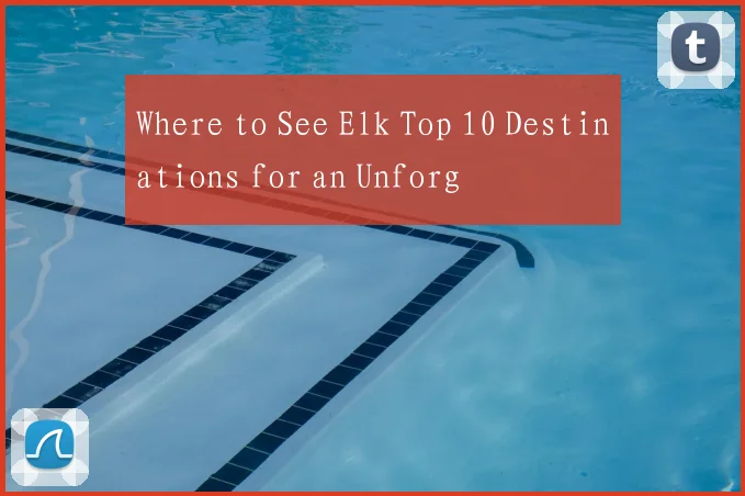 Where to See Elk Top 10 Destinations for an Unforg