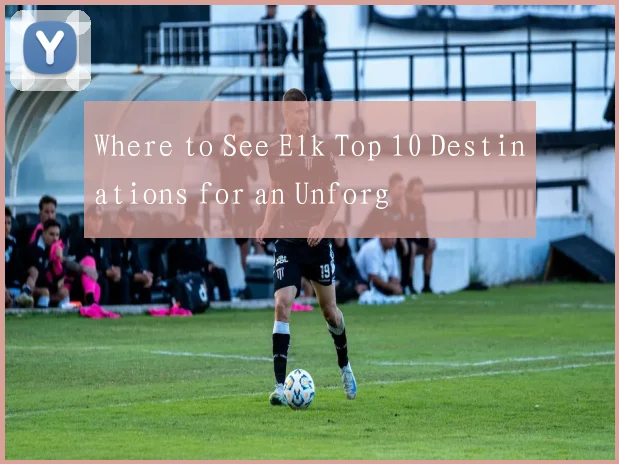 Where to See Elk Top 10 Destinations for an Unforg